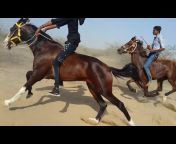 Kutch Horse Race