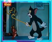 Tom And Jerry Classic Cartoon Funny Moments Full Episode In HD-Official Cartoon Network WB Animation&#60;br/&#62;Talking Tom, Talking Angela, Talking Hank, Outfit7, game, app, gameplay, Funny Cat, Funny Dog, talking tom shorts, talking tom shorts binge, talking tom shorts mor episodes, talking tom binge, talking tom marathon, my talking tom, talking tom short, talking tom, talking tom shorts compilation, talking tom binge watch, talking tom shorts mega-pack&#60;br/&#62;tom and jerry, tom and jerry bangla, tom and jerry bangla cartoon, tom and jerry natok, tom and jerry song, tom and jerry movie, tom and jerry english, tom and jerry bangla dubbing, tom and jerry last episode, tom and jerry bangla funny dubbing&#60;br/&#62;&#60;br/&#62;&#60;br/&#62;Scooby-Doo!, Tom and Jerry, Looney Tunes, Bugs Bunny, Compilation, Cartoons, Classic Cartoons, Animation, full episodes, Scooby doo where are you, chuck jones, Mel Blanc, Spike the Dog, Daffy Duck, Porky Pig, Coyote &amp; Roadrunner, Full Screen, CinemaScope, Cinema, Cute, Funny